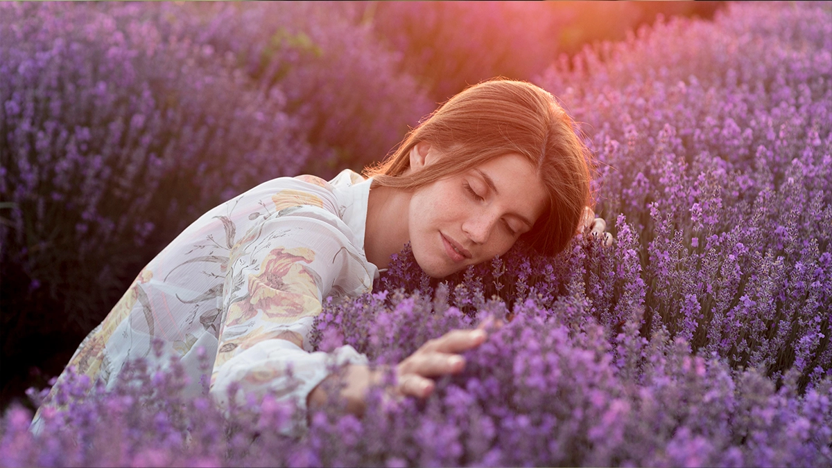 Person resting in lavender field