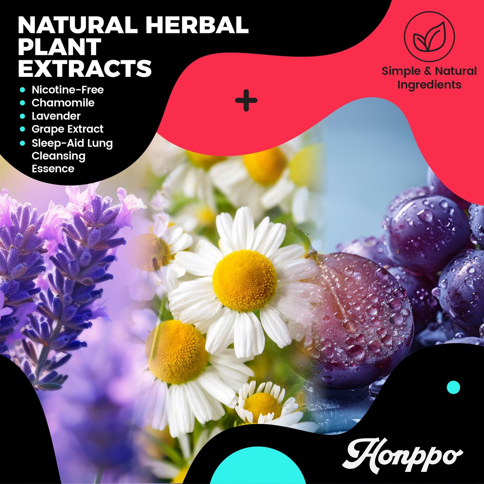 🌿 HONPPO Lavender Thyme and Mint Extracts for sleep support and lung detoxification - Image 6